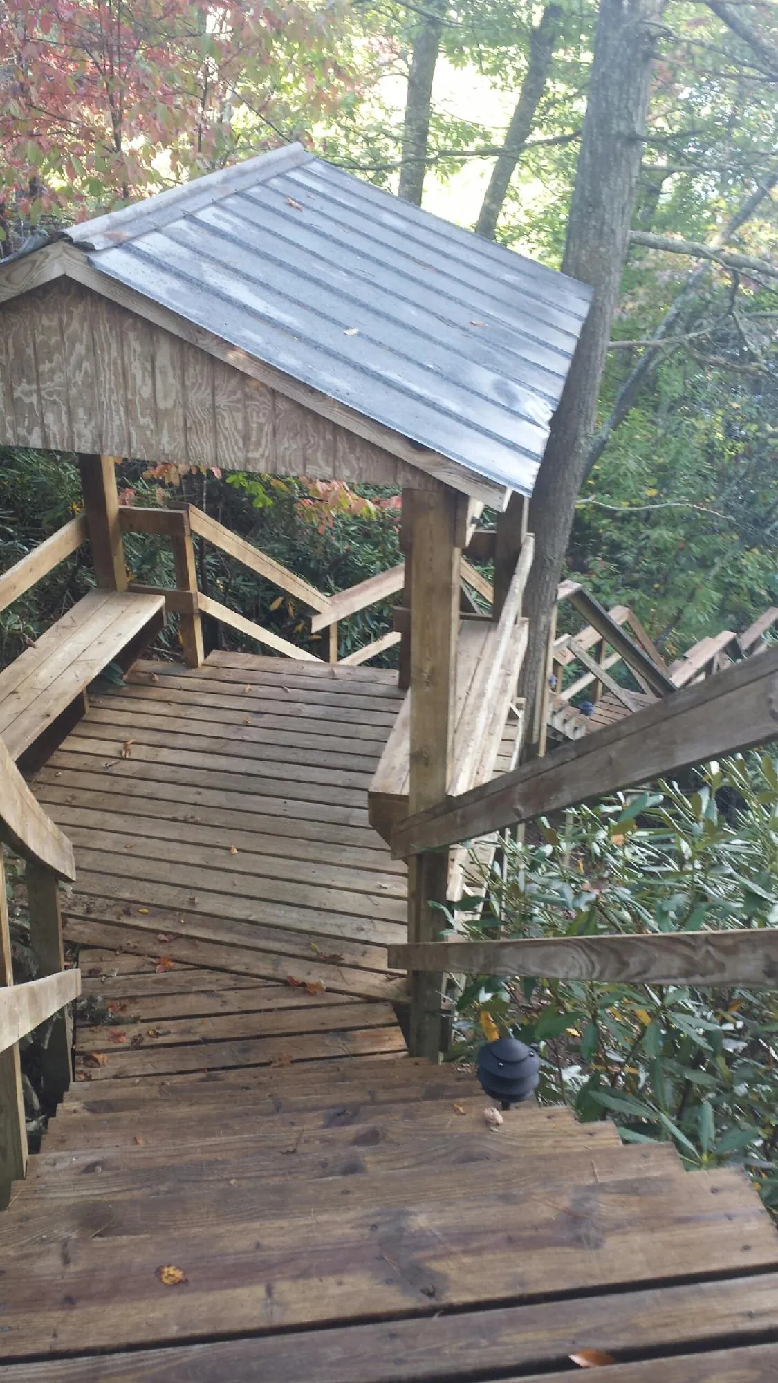 Metal roofed shelter over wooden steps on a wooded walkway — Skylight Repair & Installation work by our crew in Mccleary